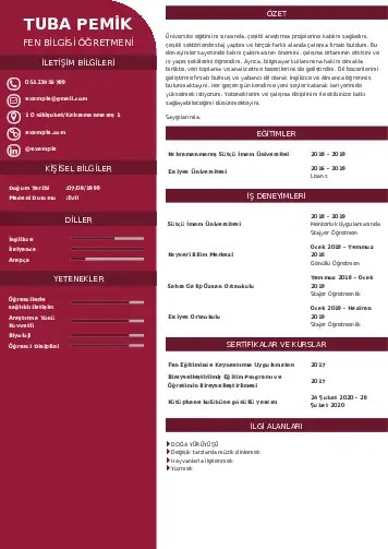 cv indir